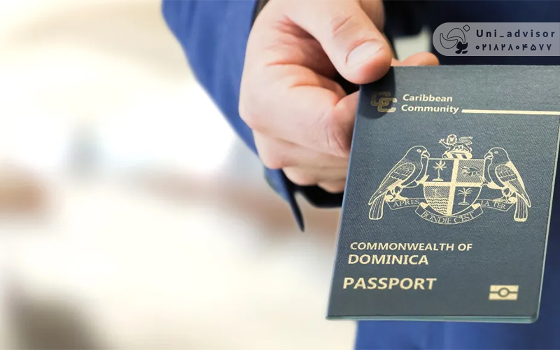 چرا دومینیکا بهترین انتخاب برای پاسپورت دوم است؟