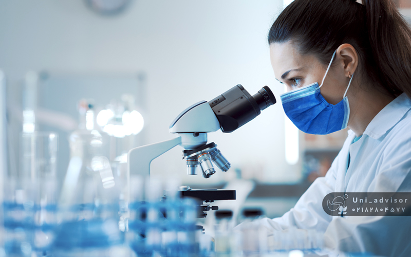 مهاجرت به بریتانیا با ارشد پژوهشی