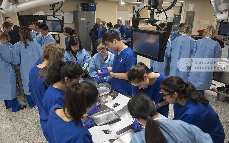 تحصیل پزشکی در چین